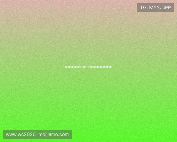 为支持挪威与法国队伍，2026世界杯球迷围巾购买指南与收藏建议